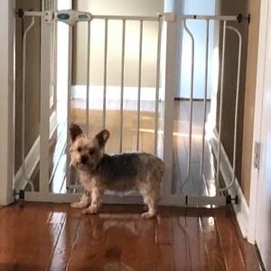 Meet your Posher, Cheryl